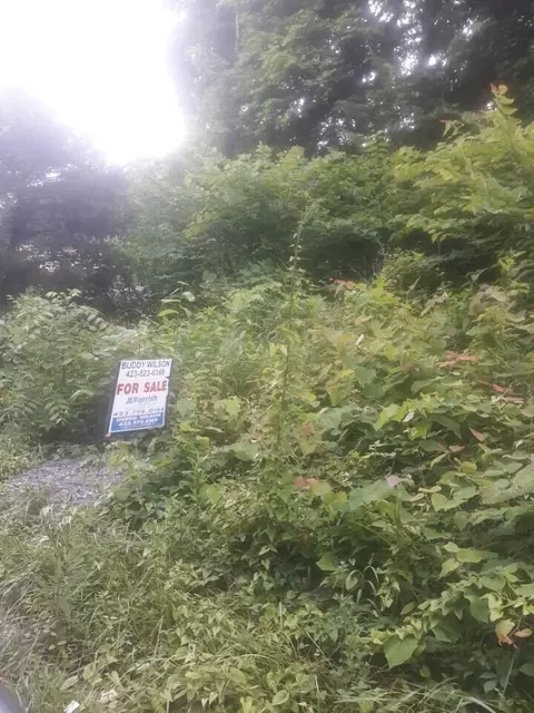 0 Dogwalk Road Afton Tn 37616, Afton, TN 37616