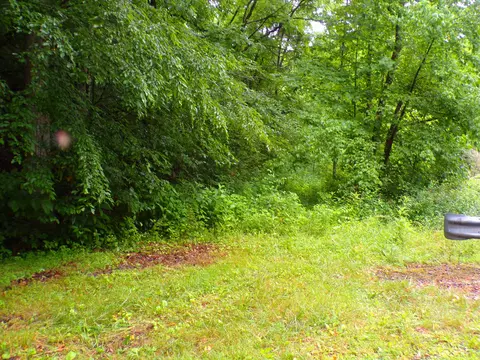 tbd Tiger Creek Road Roan Mountain Tn 37687, Roan Mountain, TN 37687
