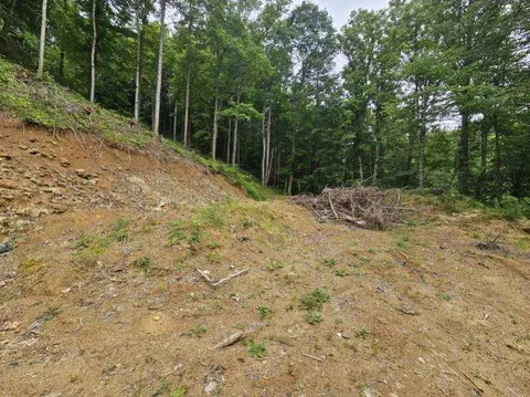 812 Browns Branch Road Hampton Tn 37658, Hampton, TN 37658 photo 9
