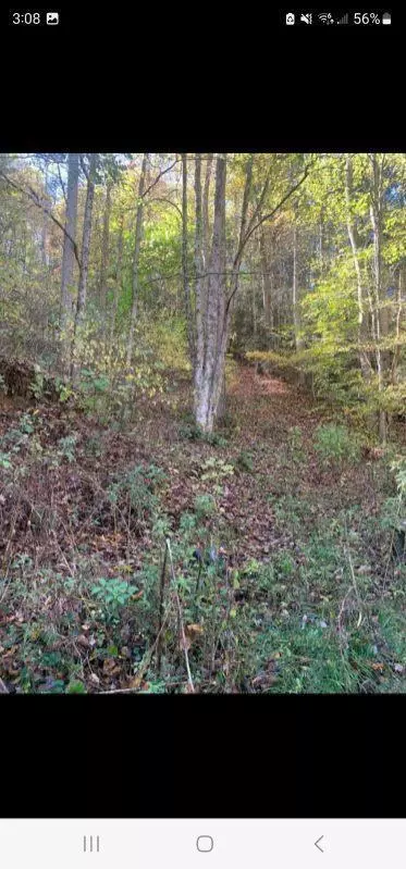 812 Browns Branch Road Hampton Tn 37658, Hampton, TN 37658 photo 3