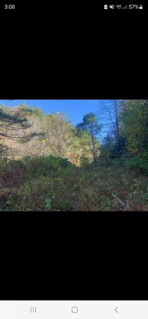 812 Browns Branch Road Hampton Tn 37658, Hampton, TN 37658 photo 2