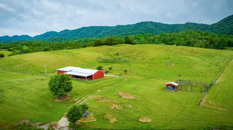 1288 Clinch Valley Road Eidson Tn 37731, Eidson, TN 37731 photo 47