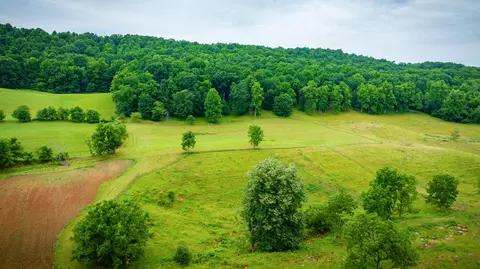 1288 Clinch Valley Road Eidson Tn 37731, Eidson, TN 37731 photo 62