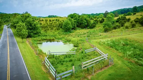 1288 Clinch Valley Road Eidson Tn 37731, Eidson, TN 37731 photo 60