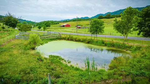 1288 Clinch Valley Road Eidson Tn 37731, Eidson, TN 37731 photo 4
