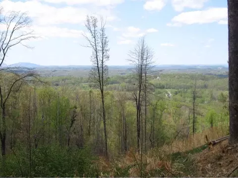 637 Sea Biscuit Court Johnson City Tn 37604, Johnson City, TN 37604