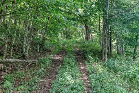 000 Vista View Drive Roan Mountain Tn 37687, Roan Mountain, TN 37687