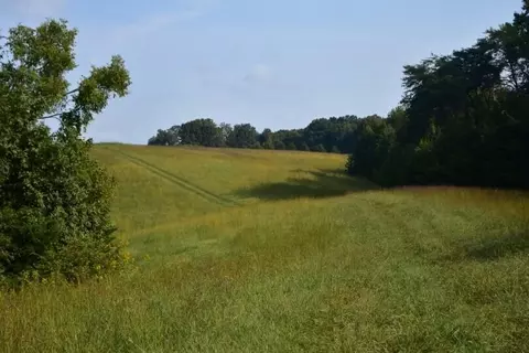 lot16 Plantation Drive Rogersville Tn 37857, Rogersville, TN 37857