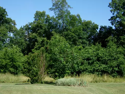445 Urbana Rd Limestone Tn 37681, Limestone, TN 37681 photo 11