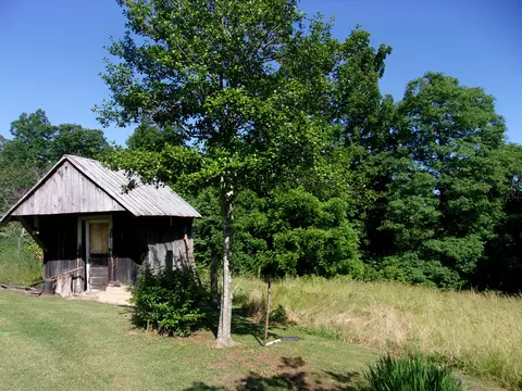 445 Urbana Rd Limestone Tn 37681, Limestone, TN 37681 photo 9