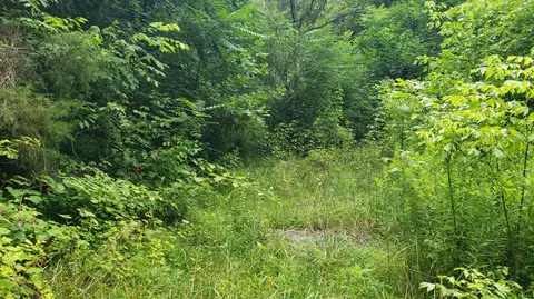220 Reesor Hollow Road Church Hill Tn 37642, Church Hill, TN 37642