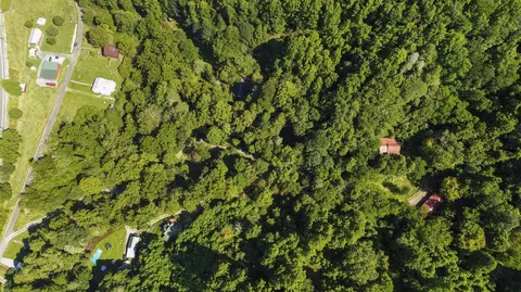 118 Forgotten Lane Hampton Tn 37658, Hampton, TN 37658 photo 33