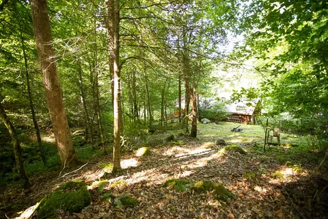 118 Forgotten Lane Hampton Tn 37658, Hampton, TN 37658 photo 23