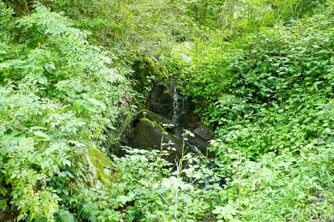 118 Forgotten Lane Hampton Tn 37658, Hampton, TN 37658 photo 25
