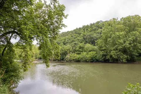 9557 Chestnut Ridge Road Eidson Tn 37731, Eidson, TN 37731 photo 2