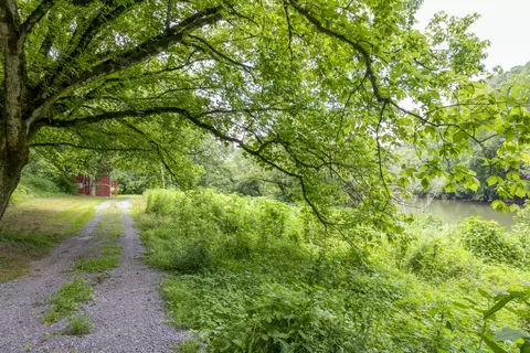 9557 Chestnut Ridge Road Eidson Tn 37731, Eidson, TN 37731 photo 16