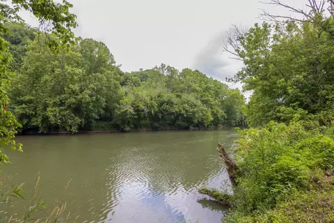 9557 Chestnut Ridge Road Eidson Tn 37731, Eidson, TN 37731 photo 4