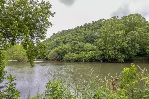 9557 Chestnut Ridge Road Eidson Tn 37731, Eidson, TN 37731 photo 3