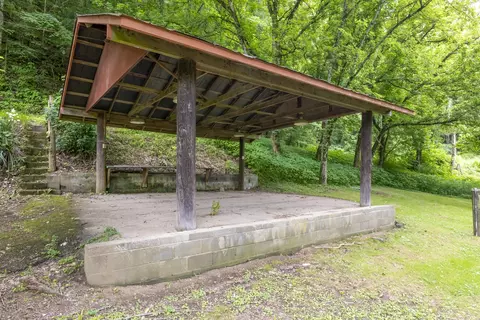 9557 Chestnut Ridge Road Eidson Tn 37731, Eidson, TN 37731 photo 7