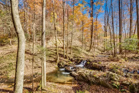 2064 S Fork Road Marion Va 24354, Marion, VA 24354 photo 55