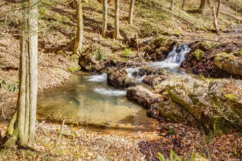 2064 S Fork Road Marion Va 24354, Marion, VA 24354 photo 56