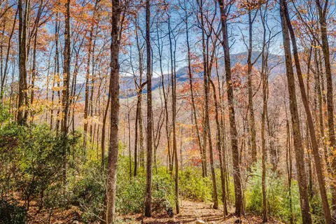 2064 S Fork Road Marion Va 24354, Marion, VA 24354 photo 40
