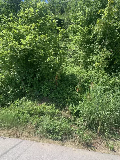 tbd Charles Street Kingsport Tn 37660, Kingsport, TN 37660