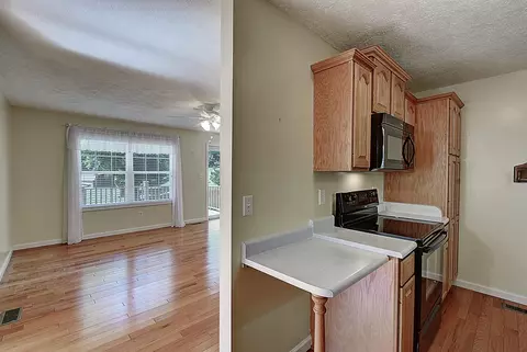 165 Valley Street Gray Tn 37615, Gray, TN 37615 photo 13