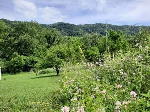 1210 Irondale Road Big Stone Gap Va 24219, Big Stone Gap, VA 24219 photo 57