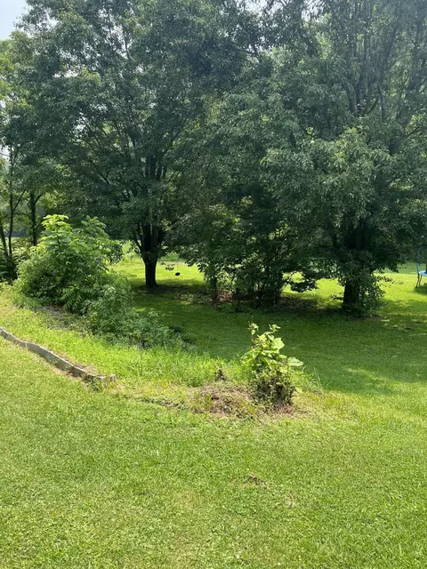 1210 Irondale Road Big Stone Gap Va 24219, Big Stone Gap, VA 24219 photo 64