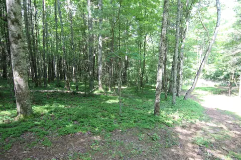 000 E Of Forrester Hollow Lane Road Mountain City Tn 37683, Mountain City, TN 37683