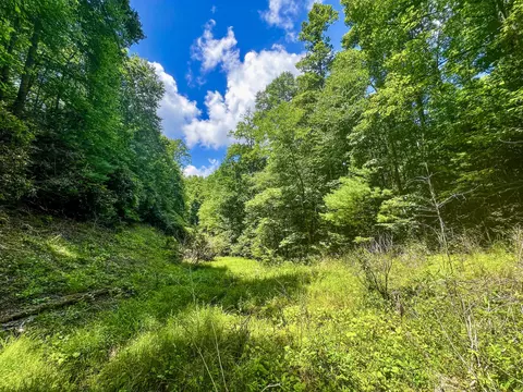 tbd E Of Oak Hill Road Hampton Tn 37658, Hampton, TN 37658
