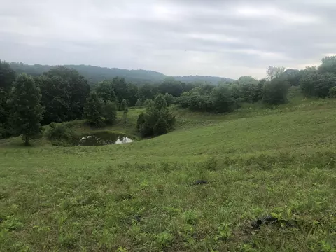 249 Tolliver Ridge Road New Tazewell Tn 37825, New Tazewell, TN 37825