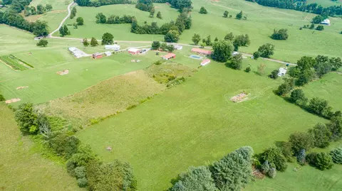 107 Patton Lane Limestone Tn 37681, Limestone, TN 37681 photo 11