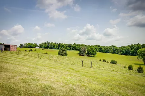 202 Crestview Road Telford Tn 37690, Telford, TN 37690 photo 31