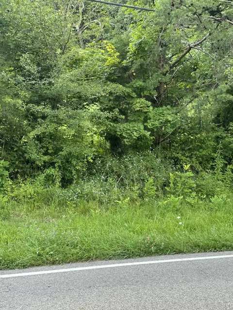 tbd Carden Hollow Road Bristol Tn 37620, Bristol, TN 37620