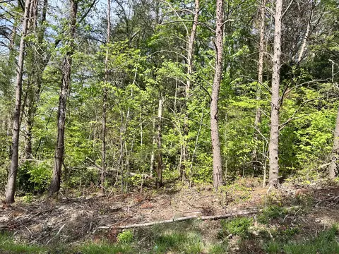 tbd Painter Ave Fall Branch Tn 37656, Fall Branch, TN 37656