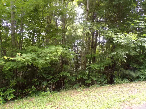 000 Callalantee Drive Mountain City Tn 37683, Mountain City, TN 37683