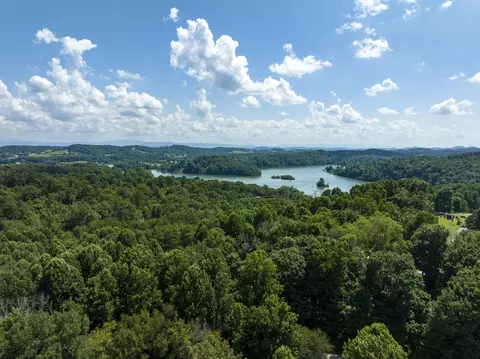 3277 Devault Bridge Road Piney Flats Tn 37686, Piney Flats, TN 37686 photo 46