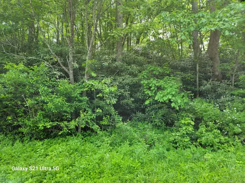 lot23 Laurelwood Lane Mountain City Tn 37683, Mountain City, TN 37683