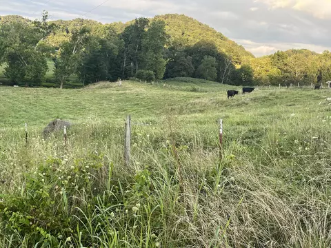 O Bray Road, Surgoinsville, TN 37873