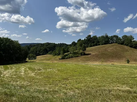 lot80 Silver Oak Pvt Trail Butler Tn 37640, Butler, TN 37640