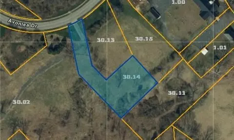 tbd Avonlea Rd Johnson City Tn 37604, Johnson City, TN 37604