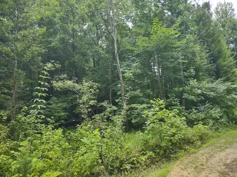 tbd Morgan Branch Lane Chuckey Tn 37641, Chuckey, TN 37641