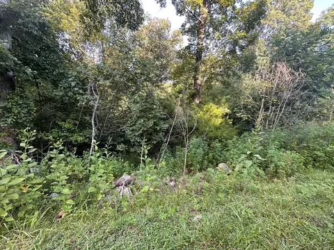 lot48 Emerald Way Parrottsville Tn 37843, Parrottsville, TN 37843