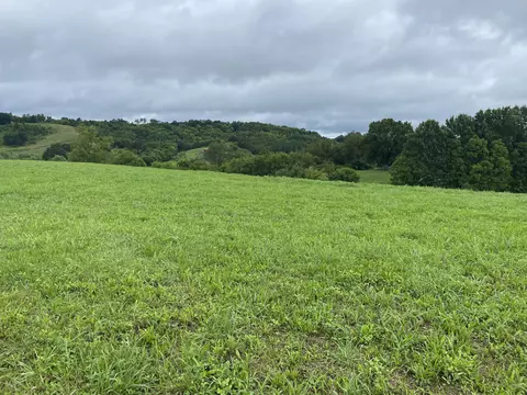 0 Warrensburg Road Mosheim Tn 37818, Mosheim, TN 37818