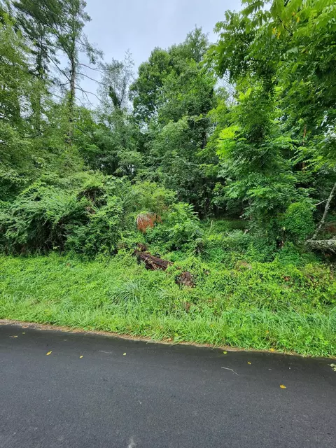 000 Stout Road Mountain City Tn 37683, Mountain City, TN 37683