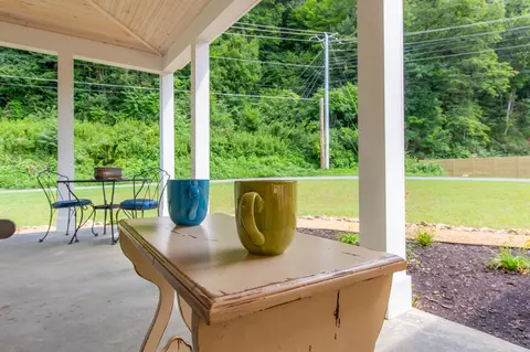 1386 N Walnut North Drive Erwin Tn 37650, Erwin, TN 37650 photo 80