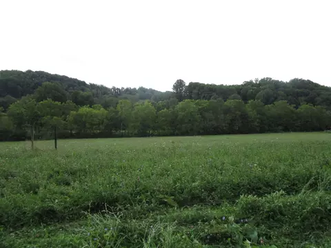 tbd Buck Creek Road Roan Mountain Tn 37687, Roan Mountain, TN 37687