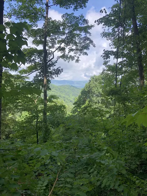 tbd Paul Blevins Road Hampton Tn 37658, Hampton, TN 37658